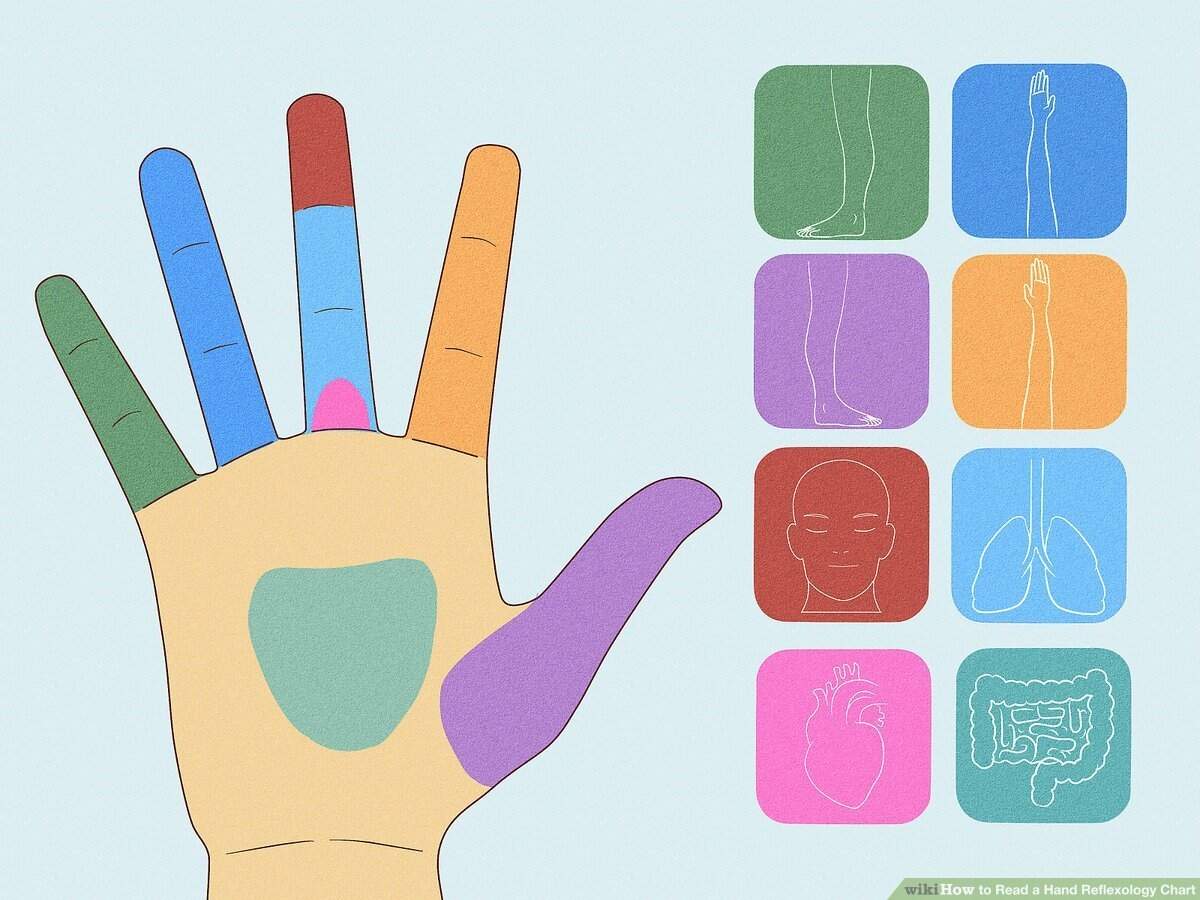 Hand Reflexology Charts Reflexology Points Techniques More