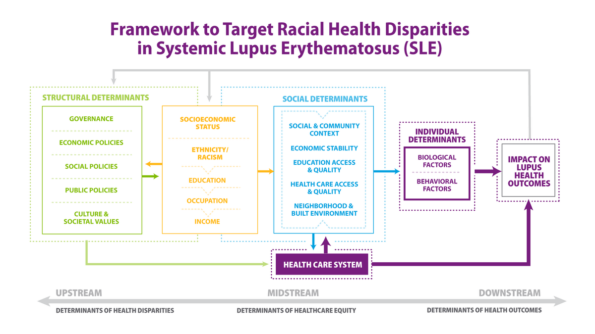 Health Disparities In Lupus Lupus Foundation Of America