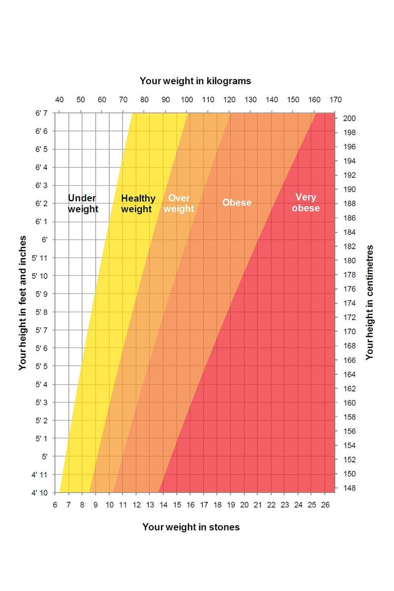 Healthy Body Weight Healty Lifestyle