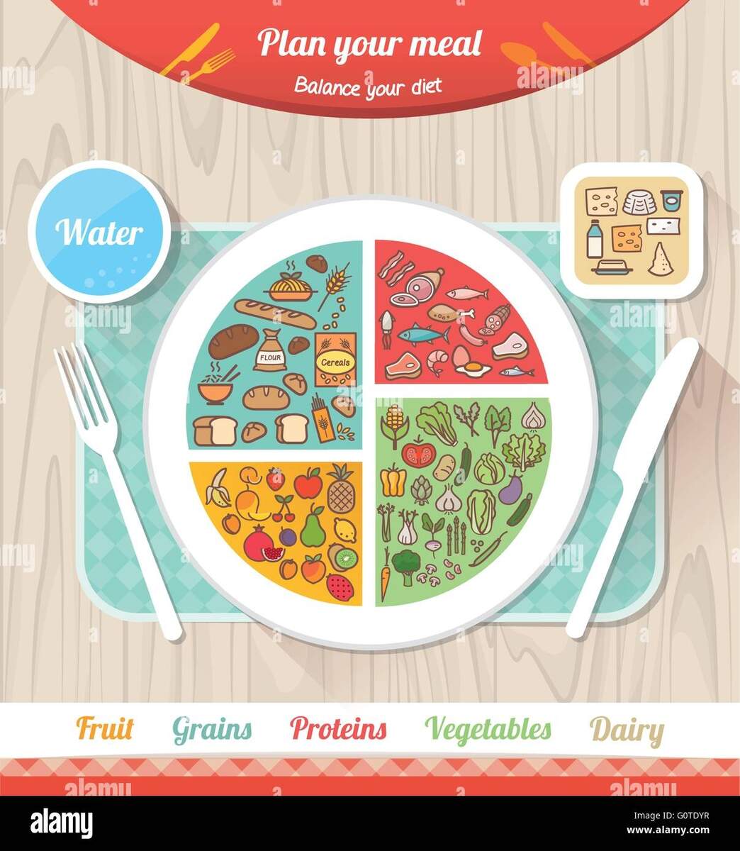 Food Pyramid Pie Chart Illustrations Vectors