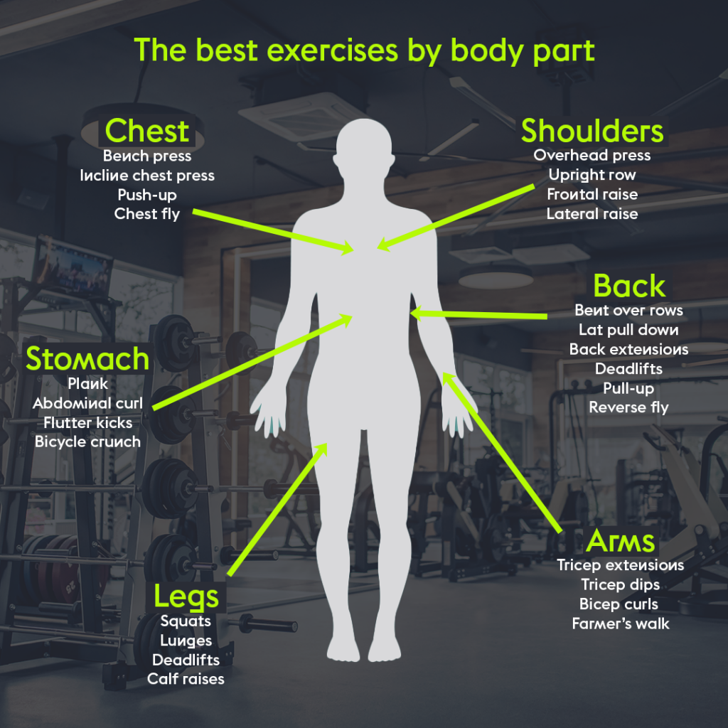 Here S How To Structure A Gym Workout The Hussle Blog Here S How To Structure A Gym Workout The Hussle Blog