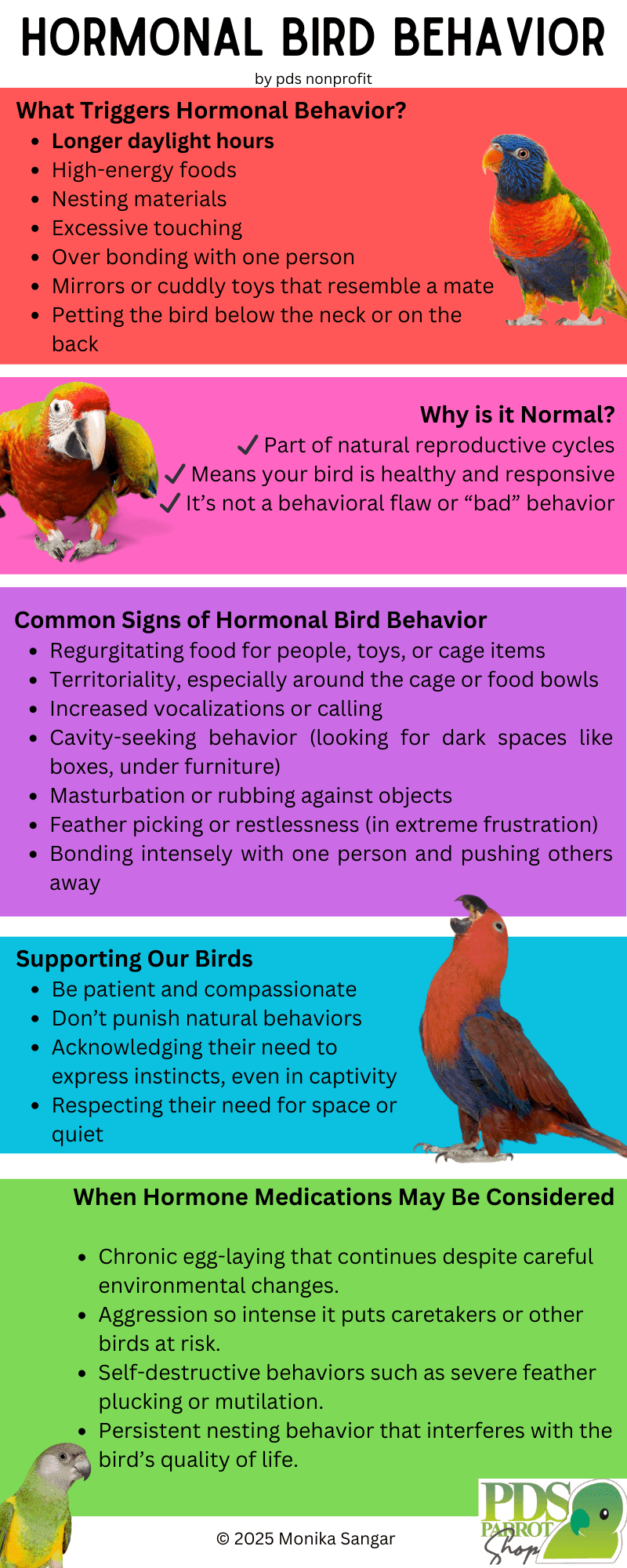 Hormonal Bird Behavior Prego Dalliance Sanctuary Parrot Rescue Care Education