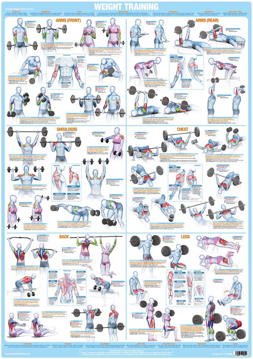 HOT Chart Gym Bench Workouts Gym Workout Chart Full Body Workout Dumbbells And Bench Upper