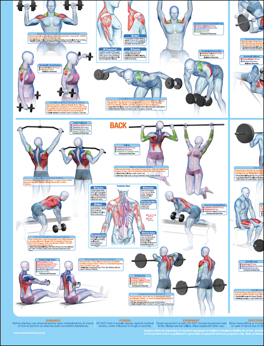 Acid And Base Chart Quick Guide To Strength And Reactivity