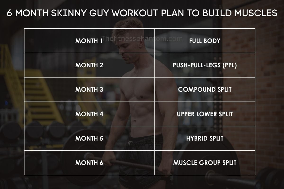 HOT Muscle Building Best Gym Workout Chart Best Home Workout Routine For Skinny Guys Best Workout Plans For