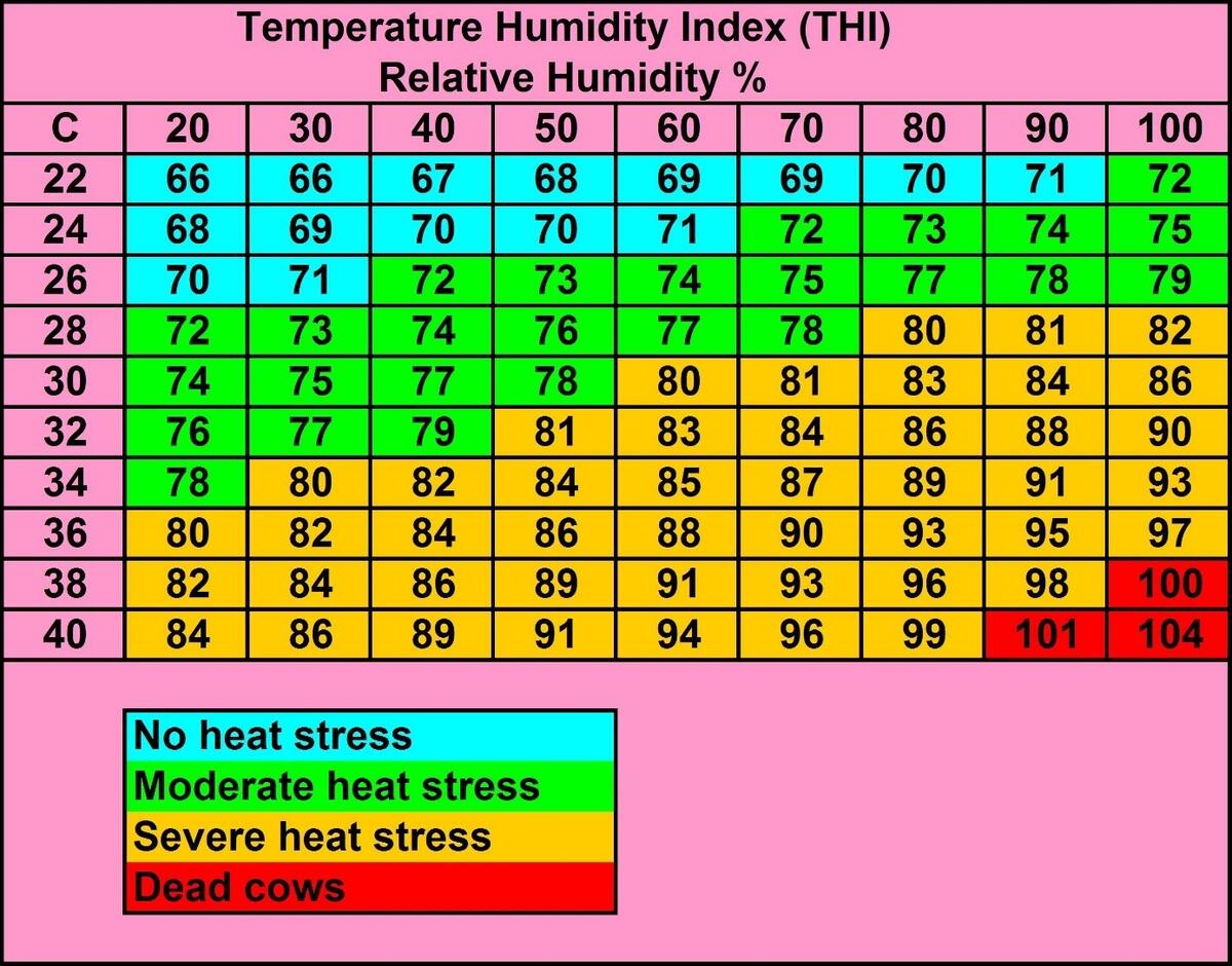 Hot Summer Months Cattle Farmers Be On Alert Kela Health