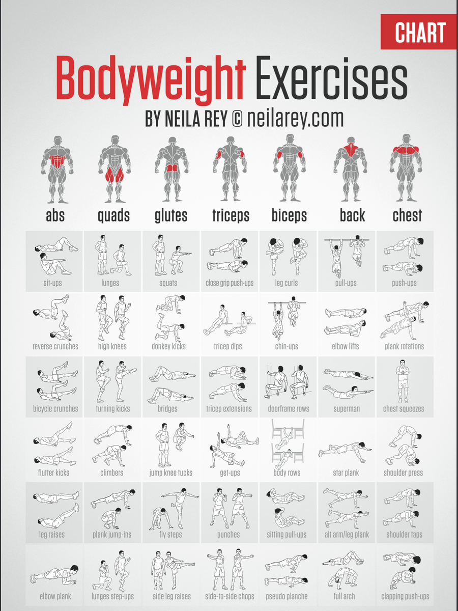 HOT Total Body At Home Workout Routine No Equipment No Equipment Full Body Strength Workout Plan Full Body Bodyweight