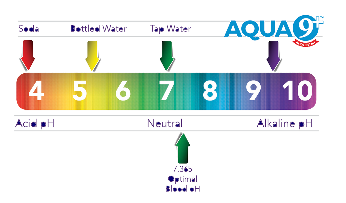 How Does Alkalinity Maintain A Healthy Body How Does Alkalinity Maintain A Healthy Body
