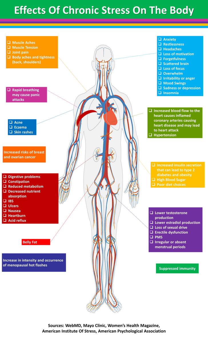 How Does Stress Affect Your Immune System First Chiropractic