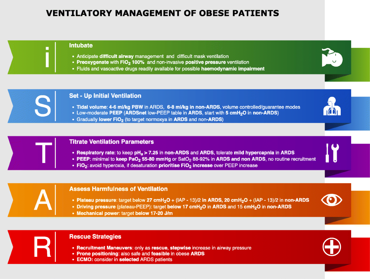 How I Ventilate An Obese Patient Critical Care