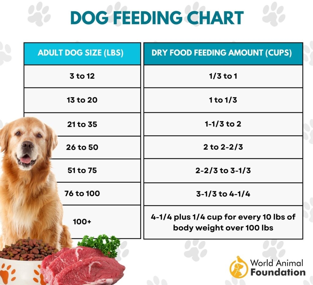 Hermet Harvest For Dogs Medium Large Breeds PledgeCare