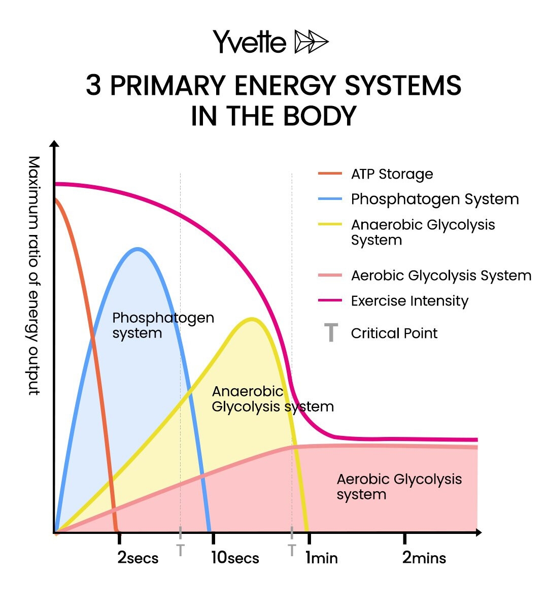 How To Build 2 Minute Power Most Time Effectively 17 By Baldheadbiomed Training TrainerRoad How To Build 2 Minute Power Most Time Effectively 17 By Baldheadbiomed Training TrainerRoad
