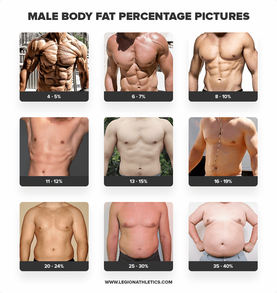 How To Calculate Body Fat Percentage Legion