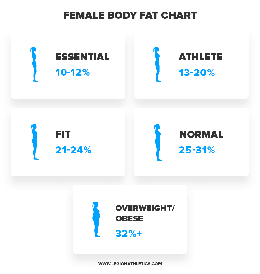 Body Fat Percentage Calculator Free Tool And Complete Guide BodySpec