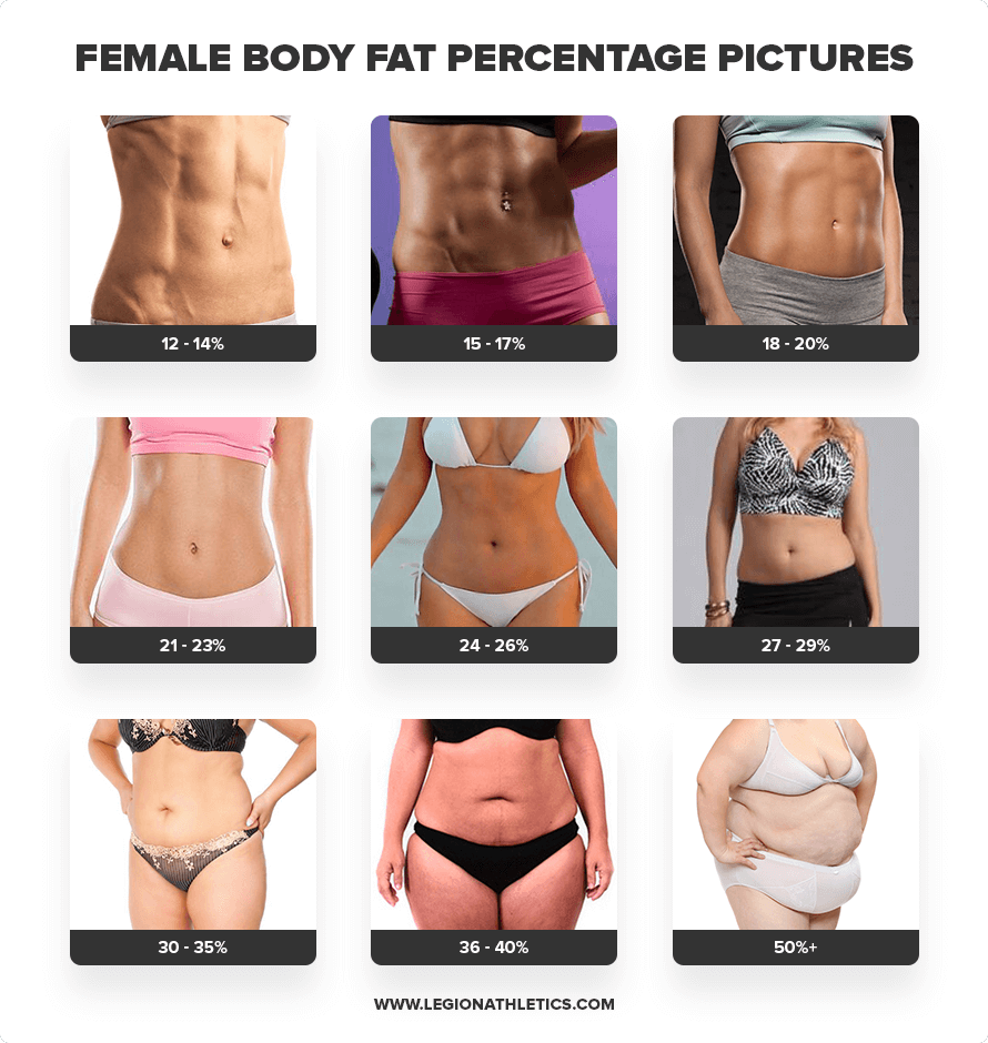 How To Calculate Body Fat Percentage Legion