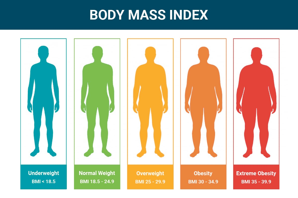How To Calculate Body Mass Index BMI