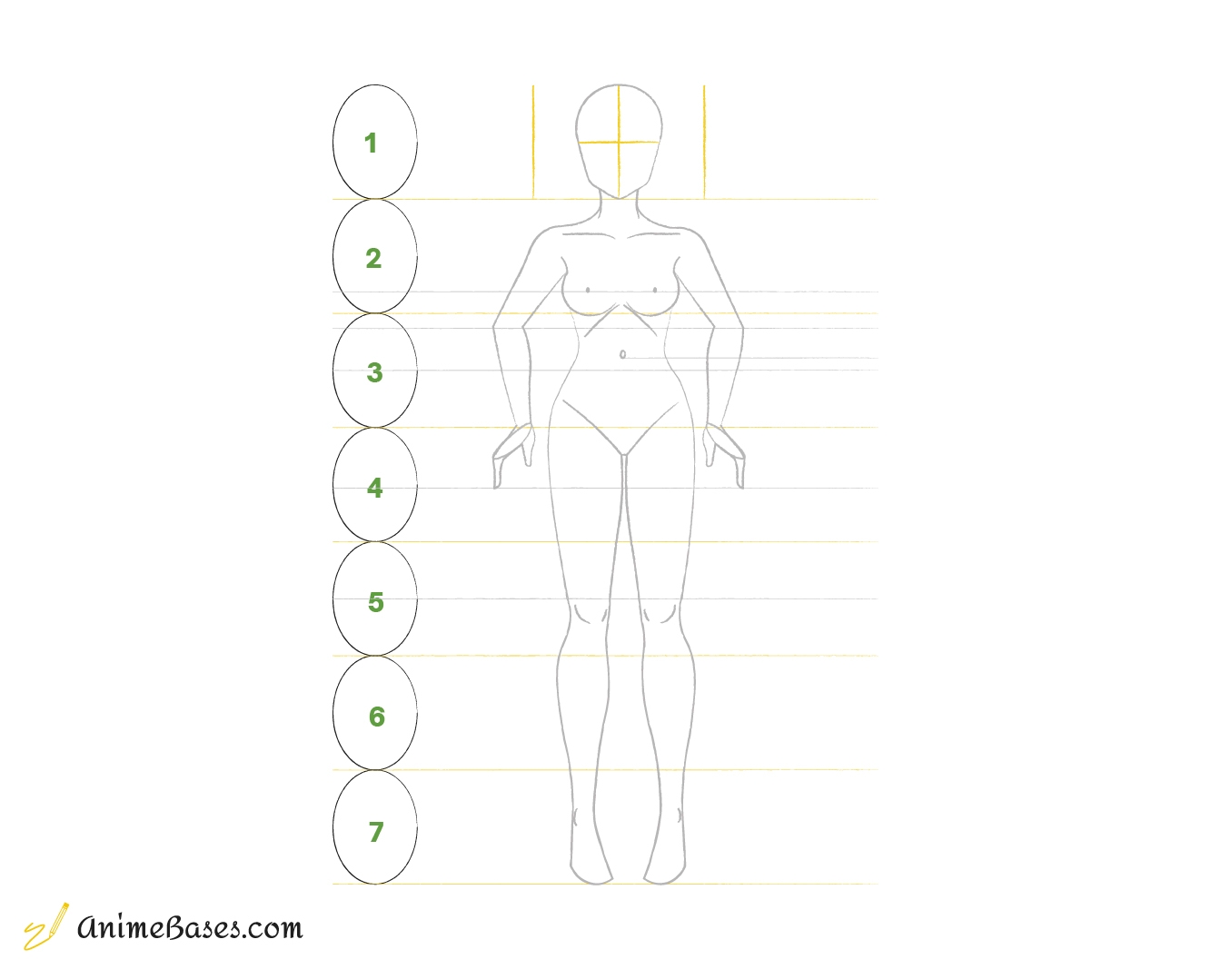 How To Drawn An Anime Girl Body AnimeBases