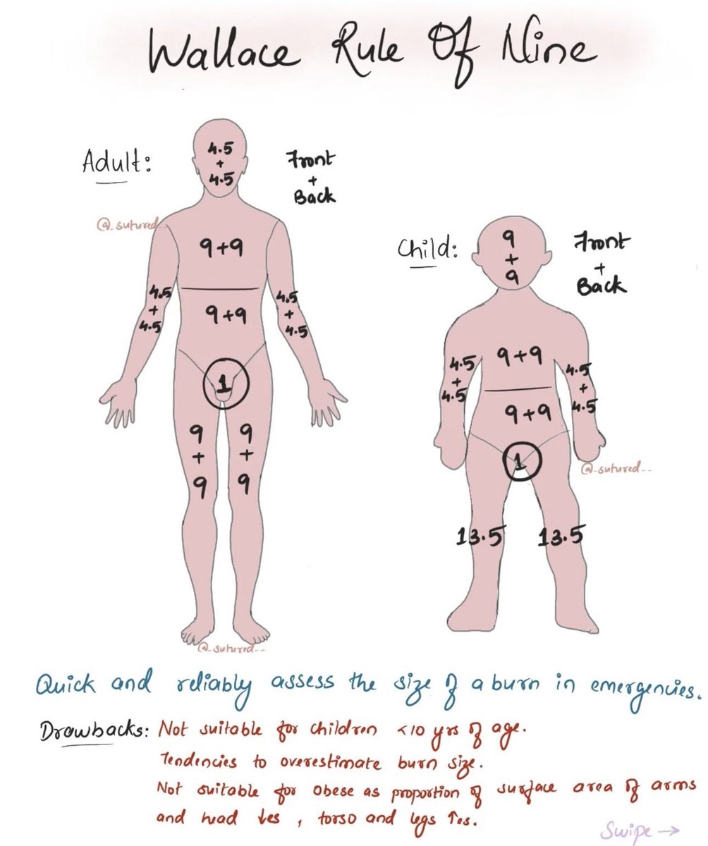How To Estimate Body Surface Area BSA