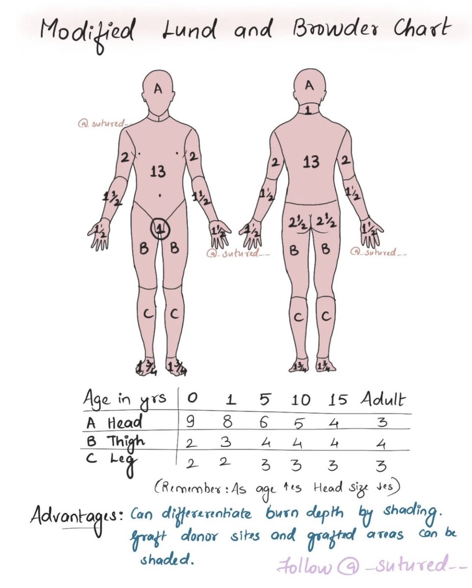 How To Estimate Body Surface Area BSA