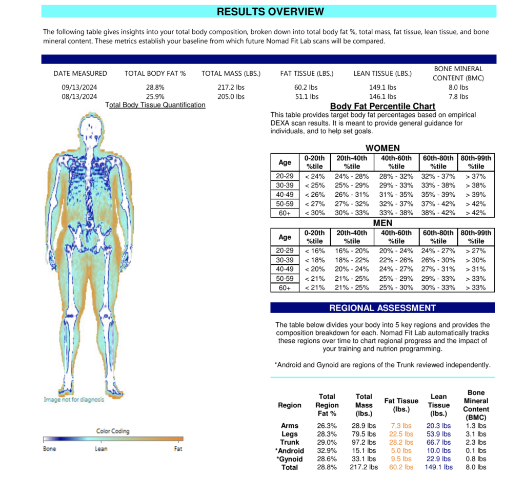 How To Interpret DEXA Scan Results