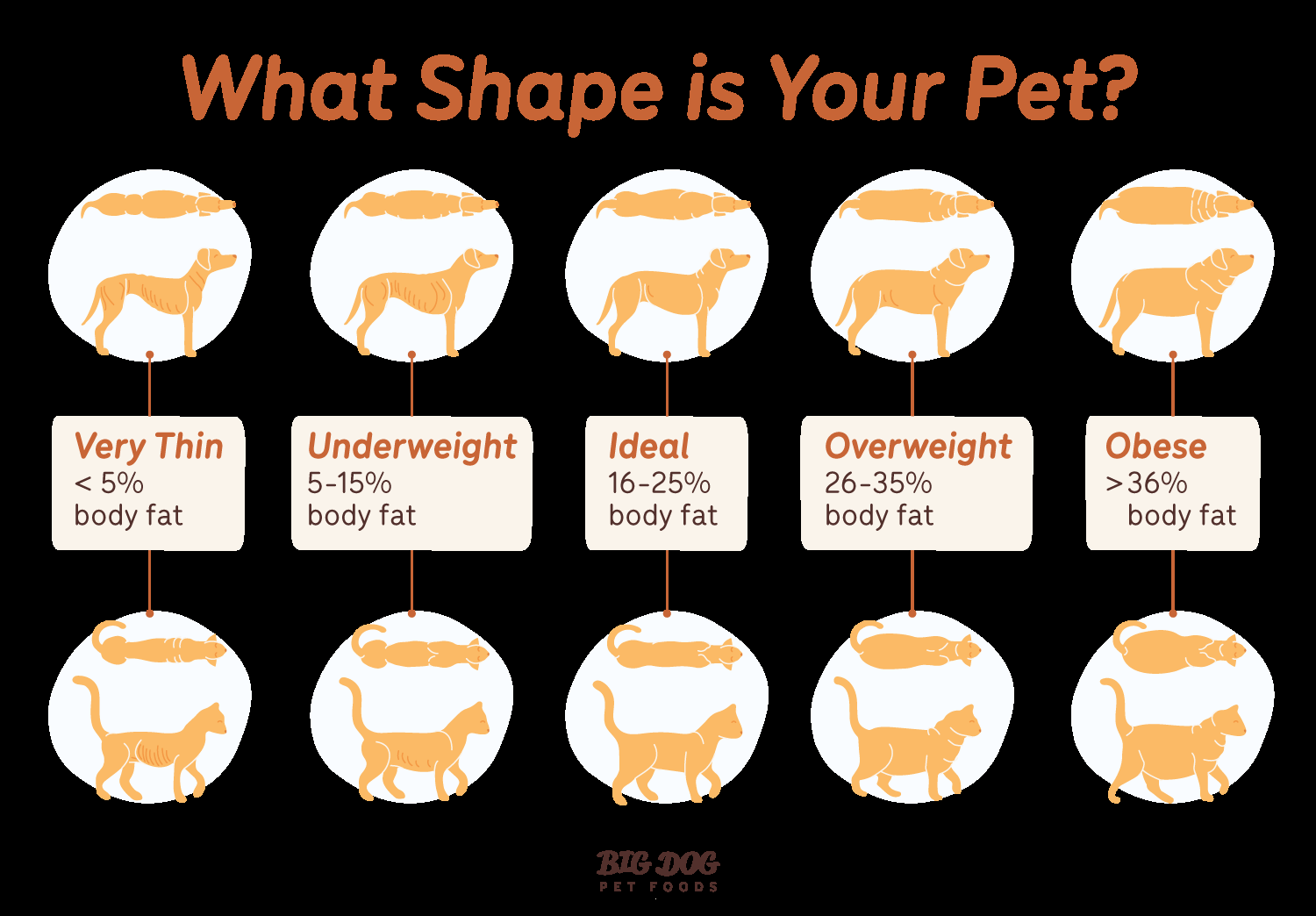 How To Tell If Your Pet S Weight Is In The Healthy Range Guides Big Dog Pet Foods