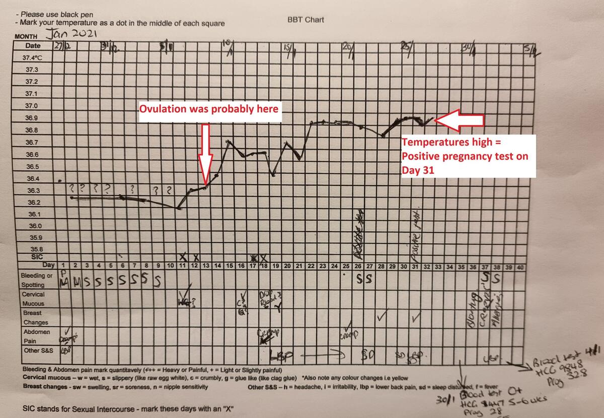 How To Use A BBT Chart To Help You Fall Pregnant Point Specifics