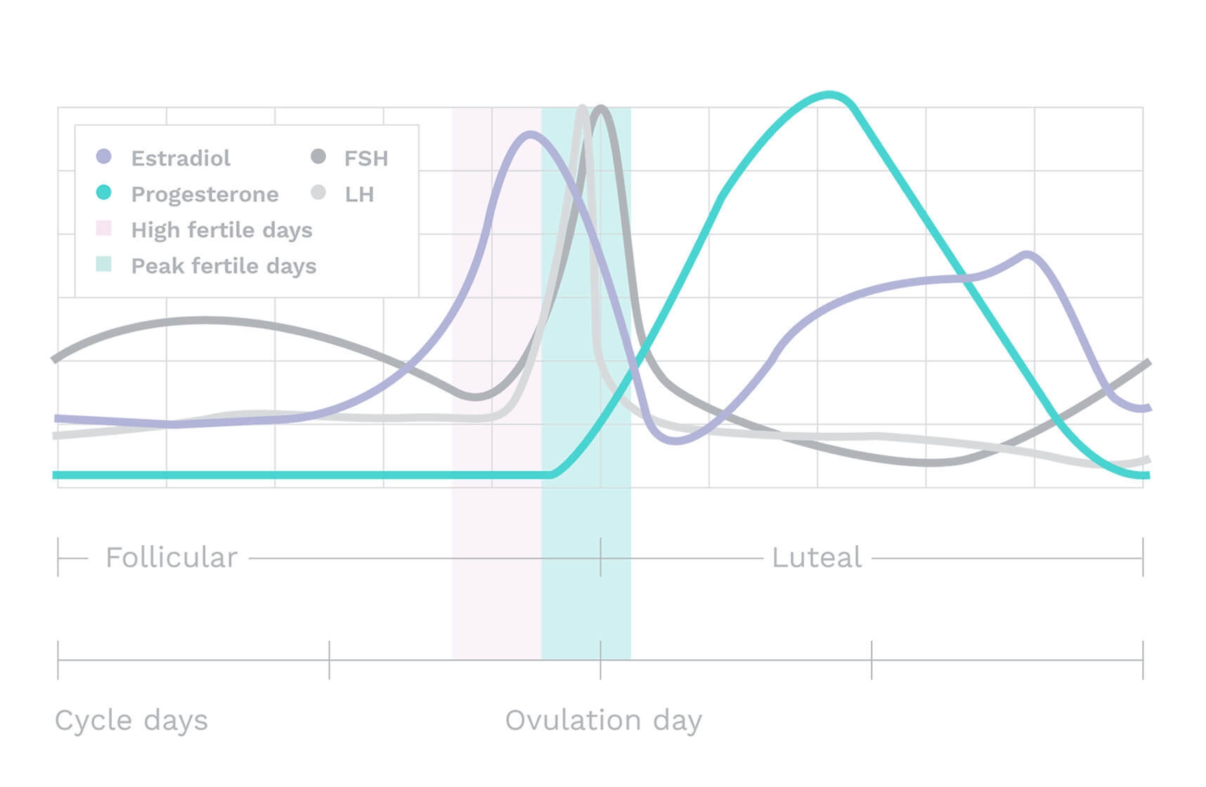 How To Use Basal Body Temperature To Determine Ovulation