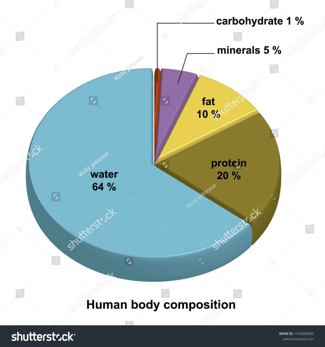 Human Body Composition Pie Chart Vector De Stock Libre De Regal As 1416096095 Shutterstock Human Body Composition Pie Chart Vector De Stock Libre De Regal As 1416096095 Shutterstock