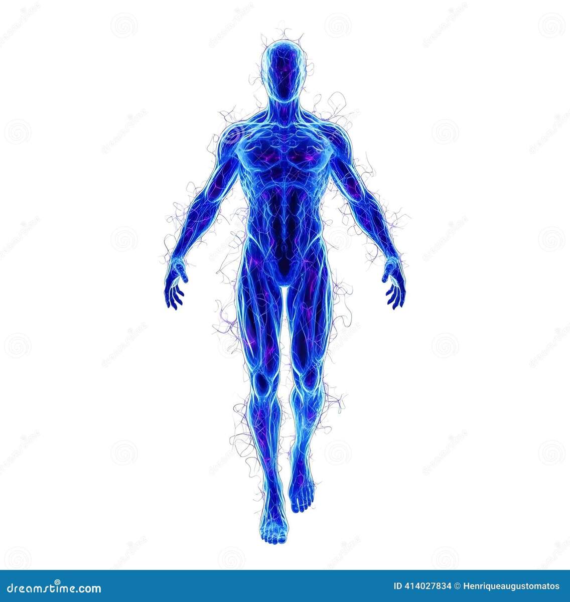 Poster Many Sizes Chinese Or Human Body Meridians For Martial Arts Medicine EBay
