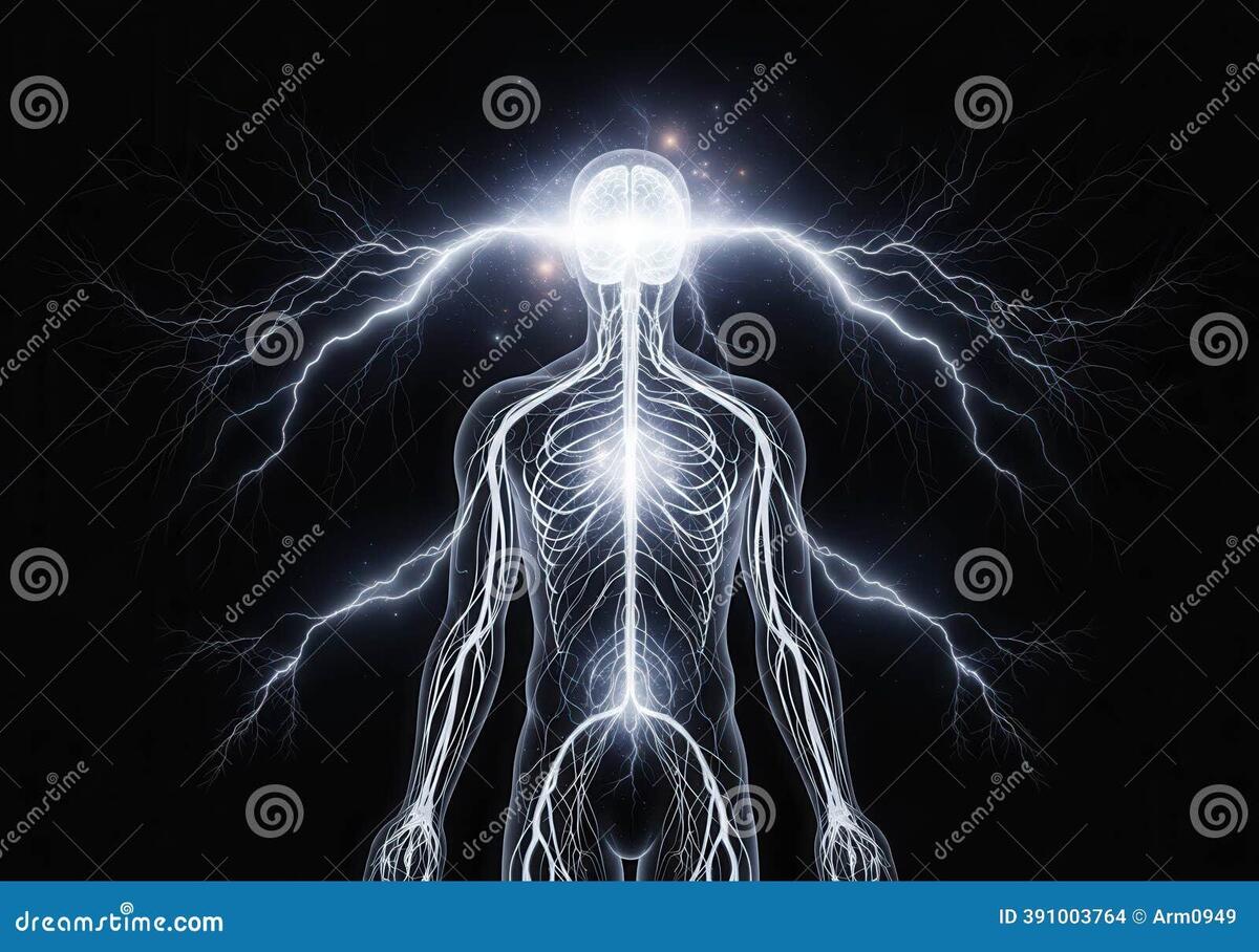 Human Body Energy Nervous System And Lightning Stock Illustration Illustration Of Bioelectricity Body 391003764