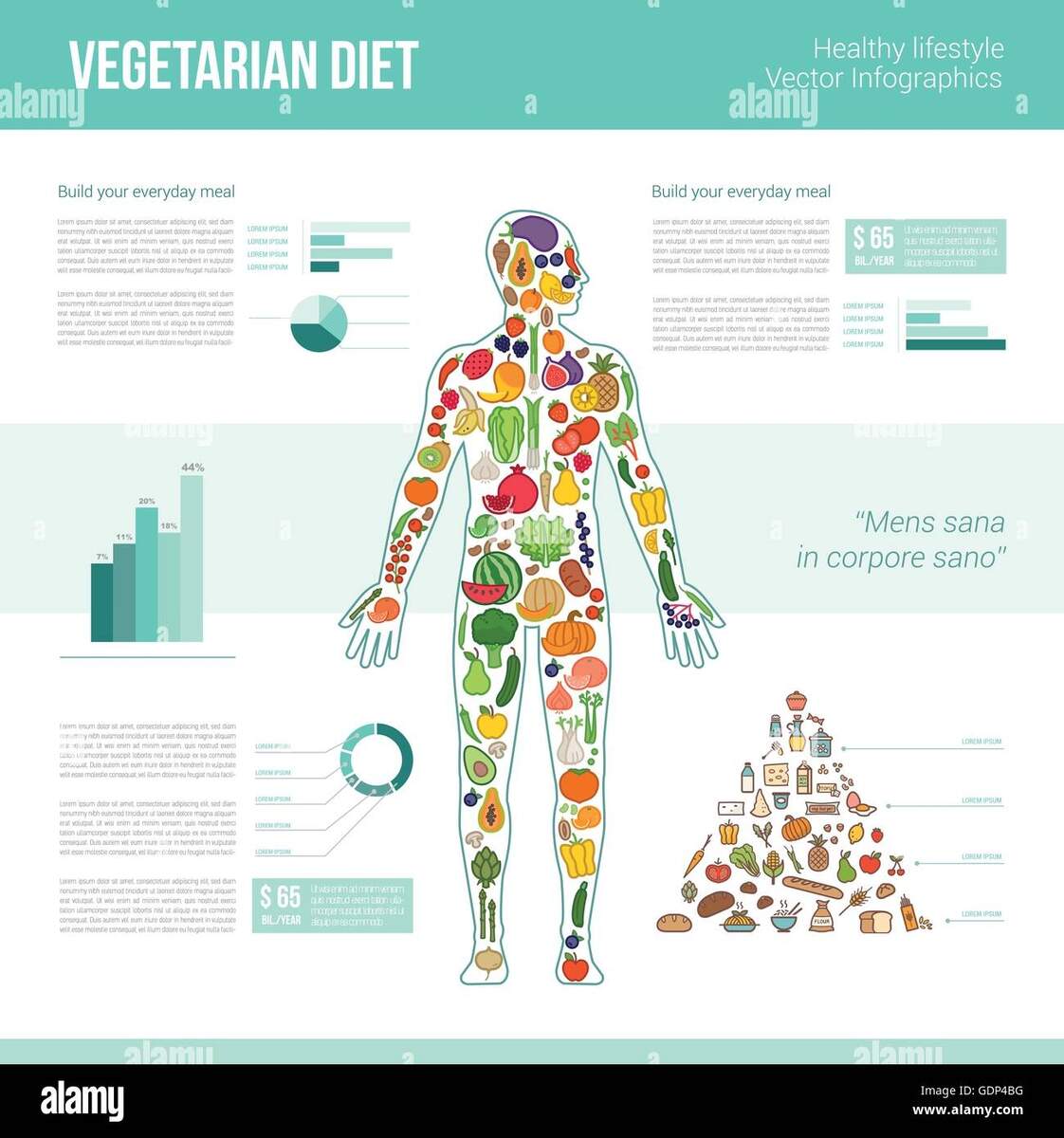 Human Body For Pie Chart Stock Vector Images Alamy
