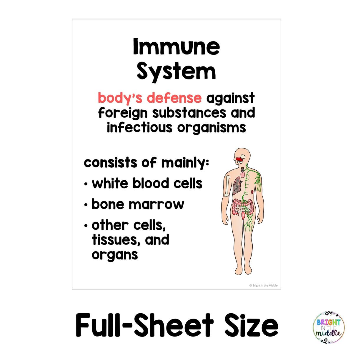 Human Body Systems Anchor Charts Bright In The Middle