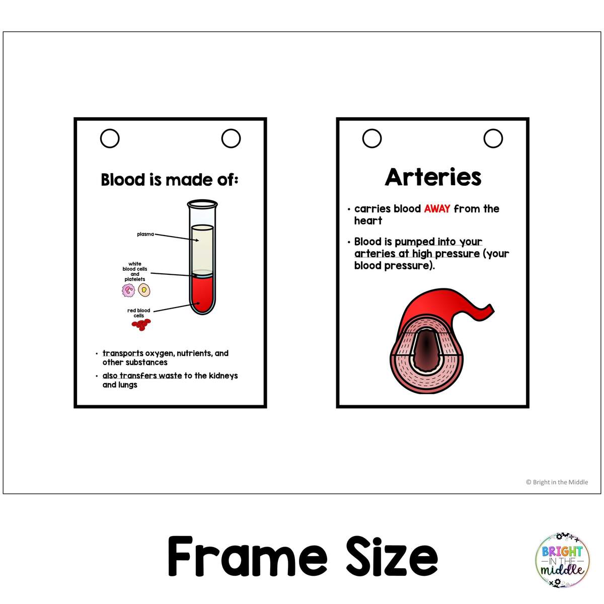 Human Body Systems Anchor Charts Bright In The Middle