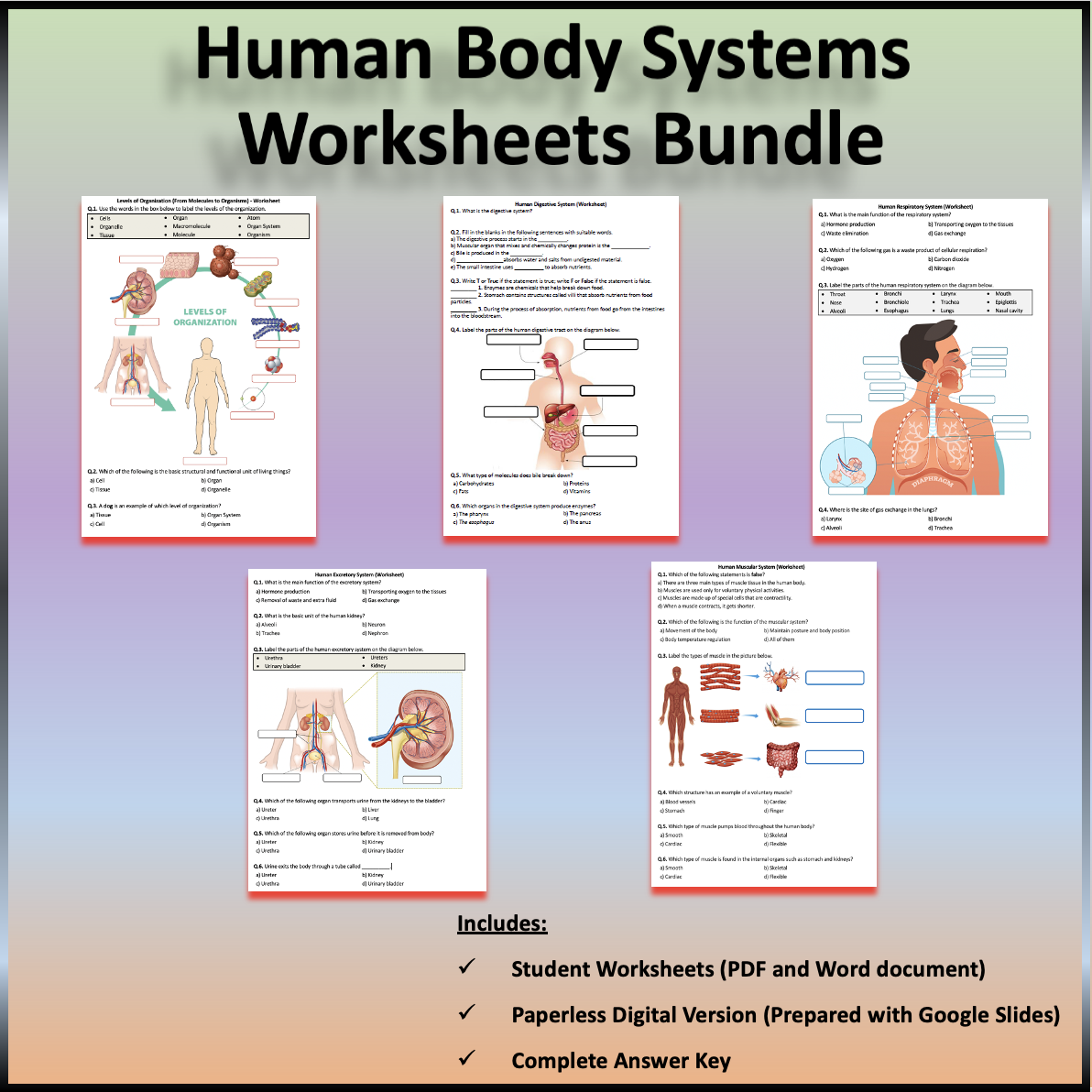 Human Body Systems Worksheets Printable And Distance Learning Teaching Resources Human Body Systems Worksheets Printable And Distance Learning Teaching Resources
