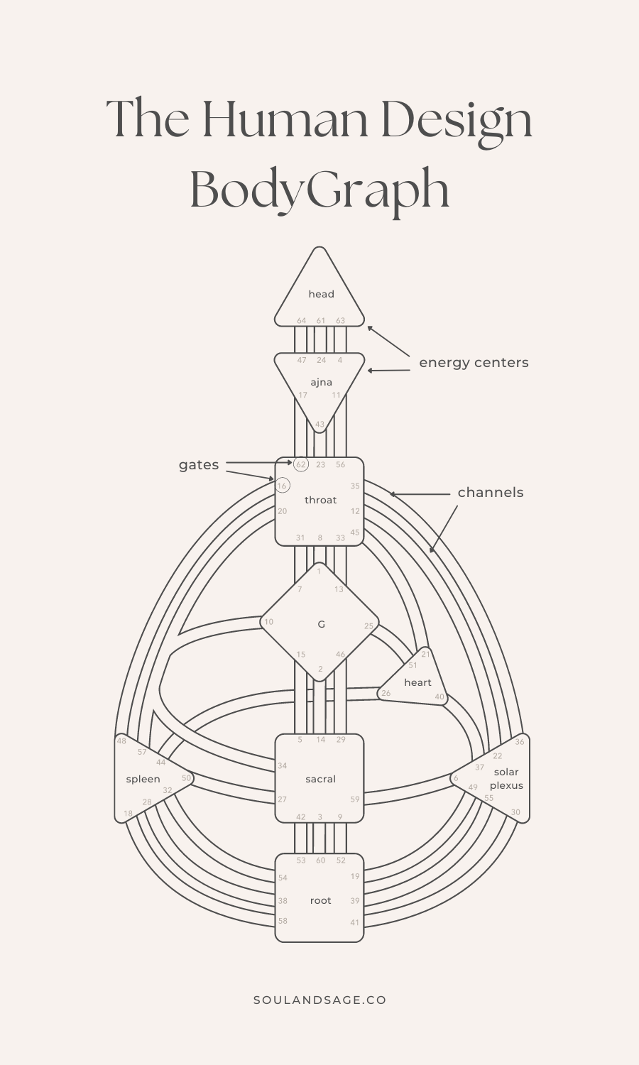 Human Design 101 Terminology The BodyGraph Soul Sage