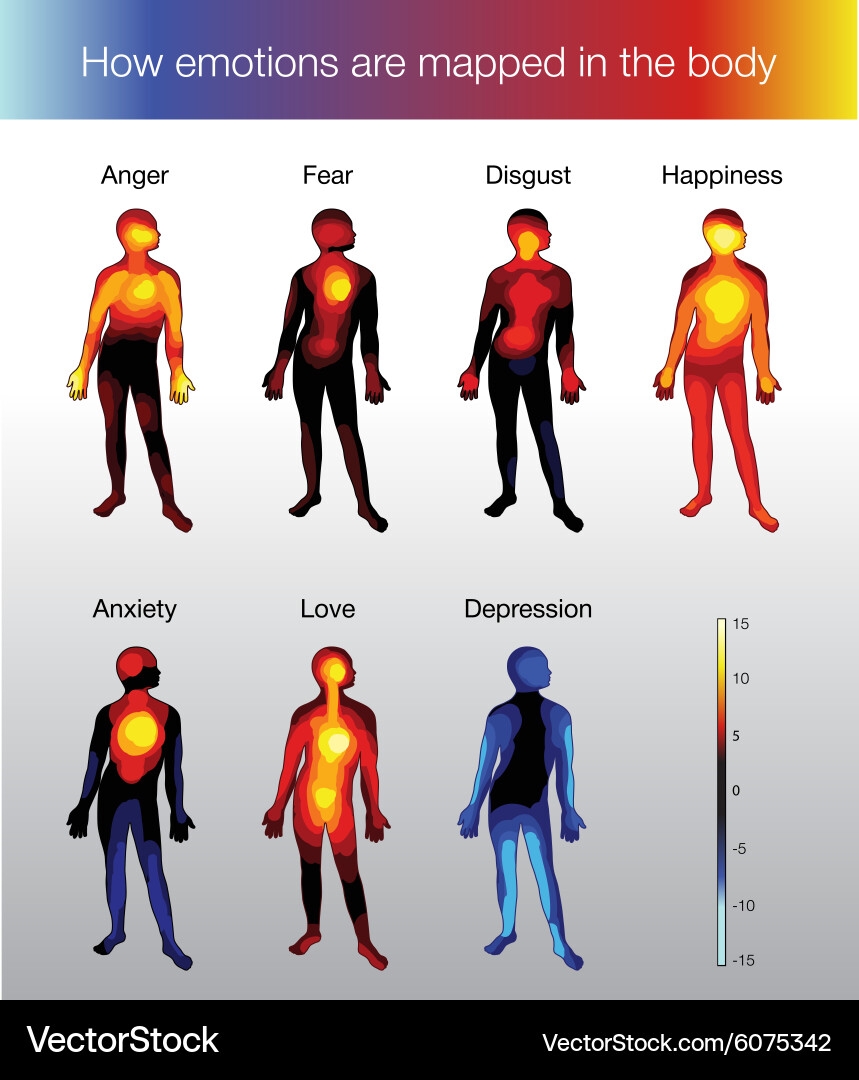 Human Emotion Heat Map Free Vector VectorStock