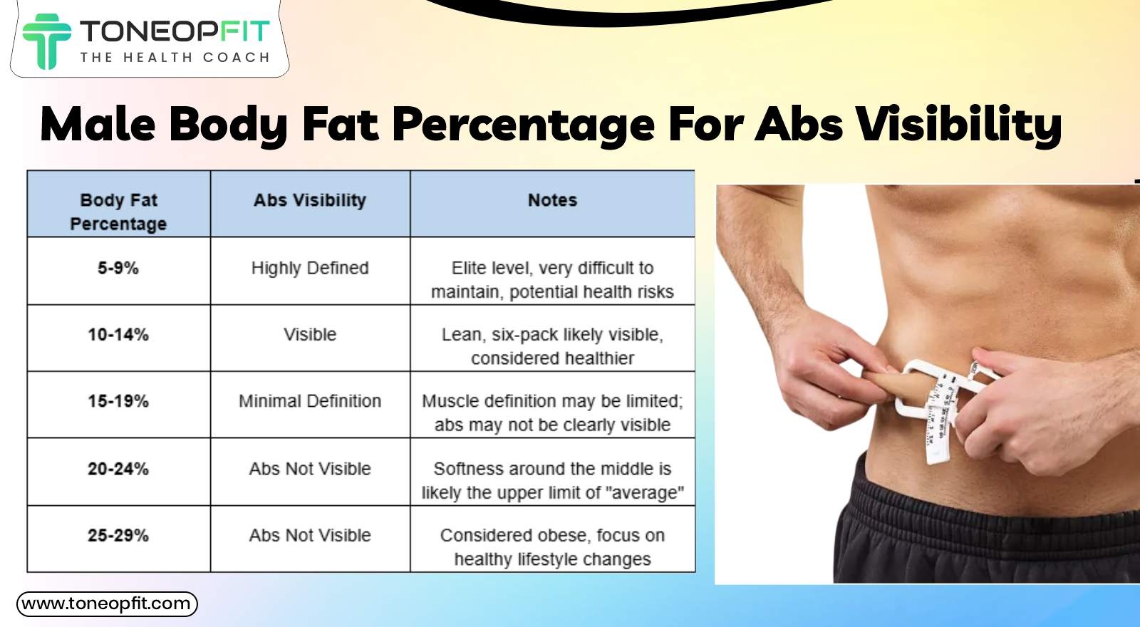 Ideal Body Fat Percentage For Abs Visibility In Males Females