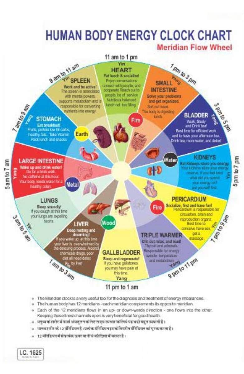 India S Creation Human Body Energy Clock Chart Meridian Flow Wheel Acupressure Code 1625 Amazon Co Uk Health Personal Care