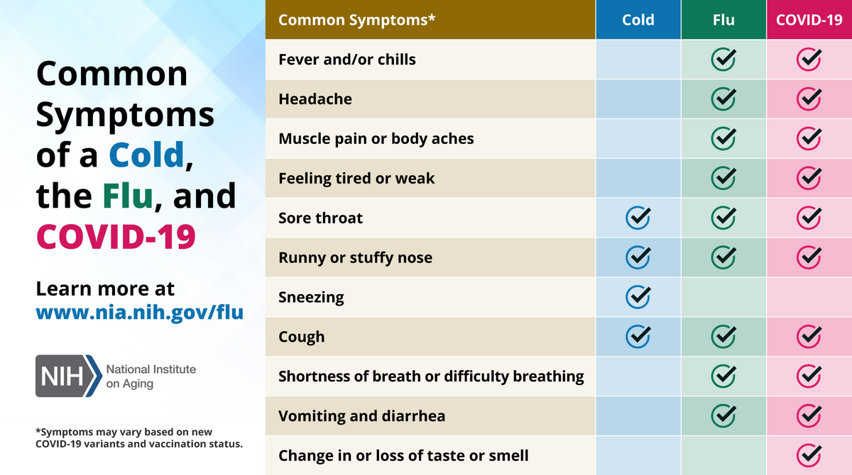 Infographic Is It A Cold The Flu Or COVID 19 National Institute On Aging