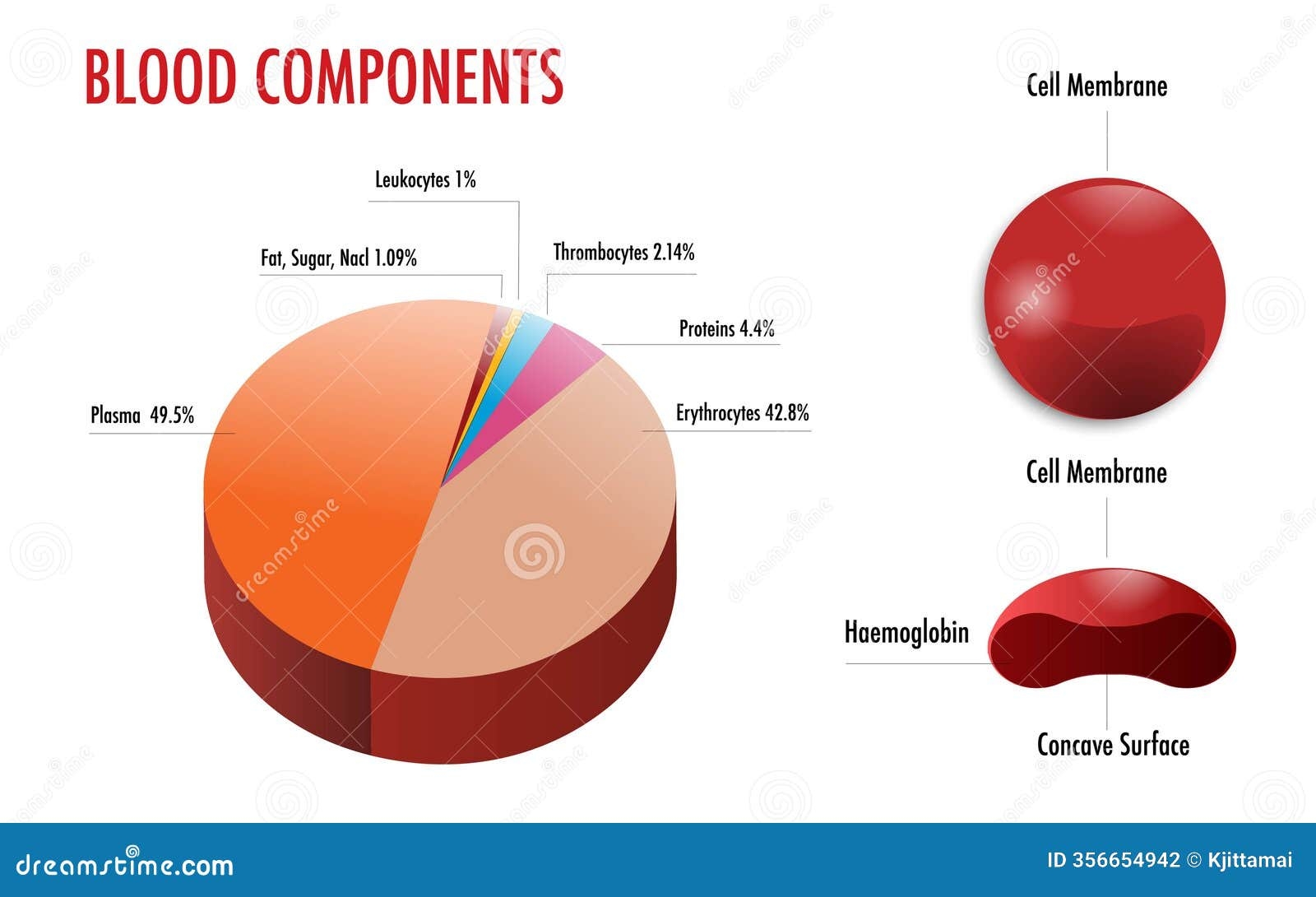 Infographic Of Blood Component Metabolism Stock Photo Image Of Blood Contamination 356654942