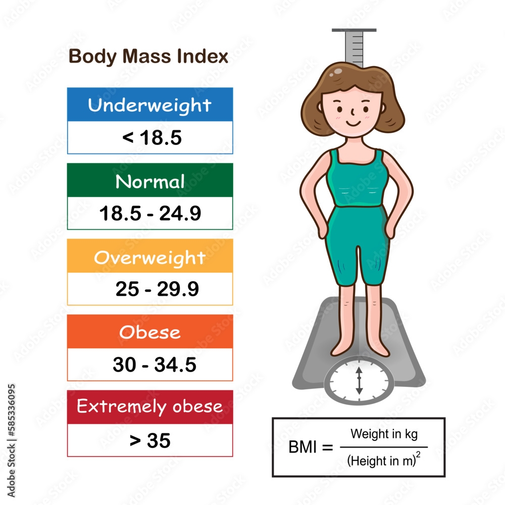 Infographic Of Body Mass Index Range Show Weight Status From Underweight To Extremely Obese With BMI Calculator And Cartoon Women Medical Healthcare Concept Vector Illustration Stock Vector Adobe Stock