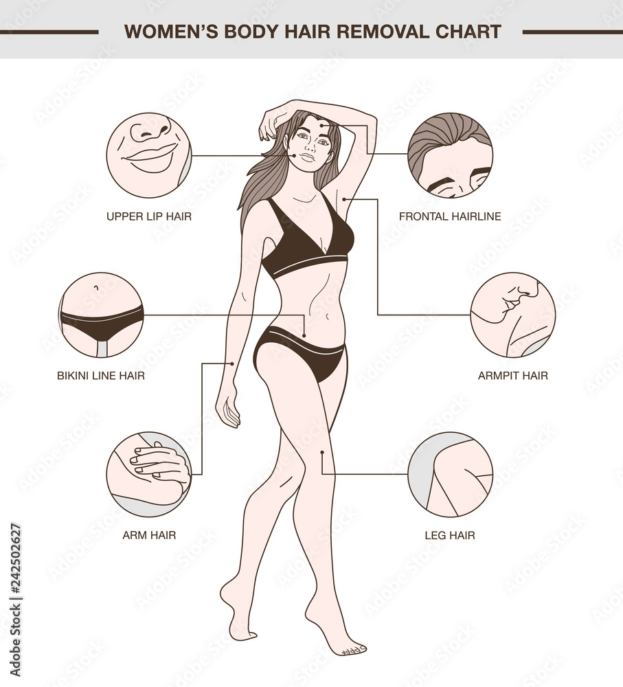 Infographic With Body Hair Removal Chart Stock Vector Adobe Stock