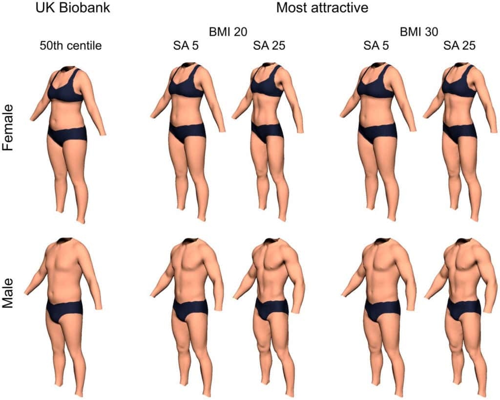 Internalization Of Cultural Ideals Predicts Judgments Of Male And Female Physical Attractiveness Internalization Of Cultural Ideals Predicts Judgments Of Male And Female Physical Attractiveness