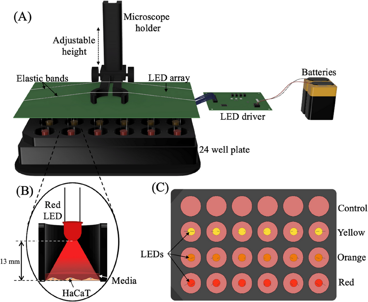 Investigating The Effects Of Low Intensity Visible Light On Human Keratinocytes Using A Customized LED Exposure System Scientific Reports