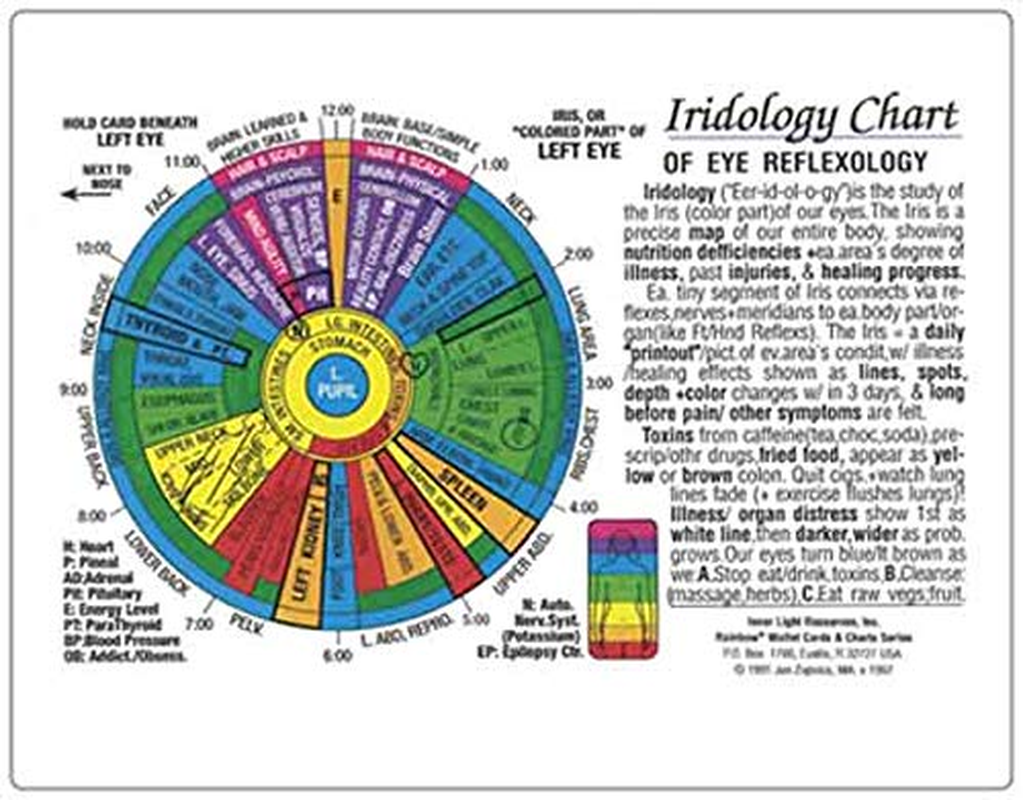 IRIDOLOGY CHART Of EYE Reflexology Rainbow Coded In The Inner Light Resources EBay