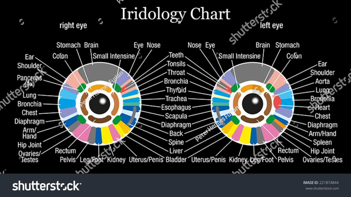 IRIDOLOGY CHART Of EYE Reflexology Rainbow Coded In The Inner Light Resources EBay
