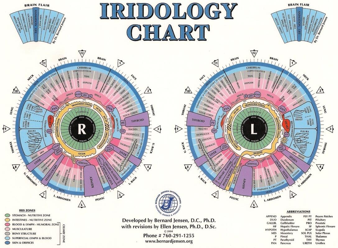 Iridology Treatment By Andrea Murphy Of Stuart Florida