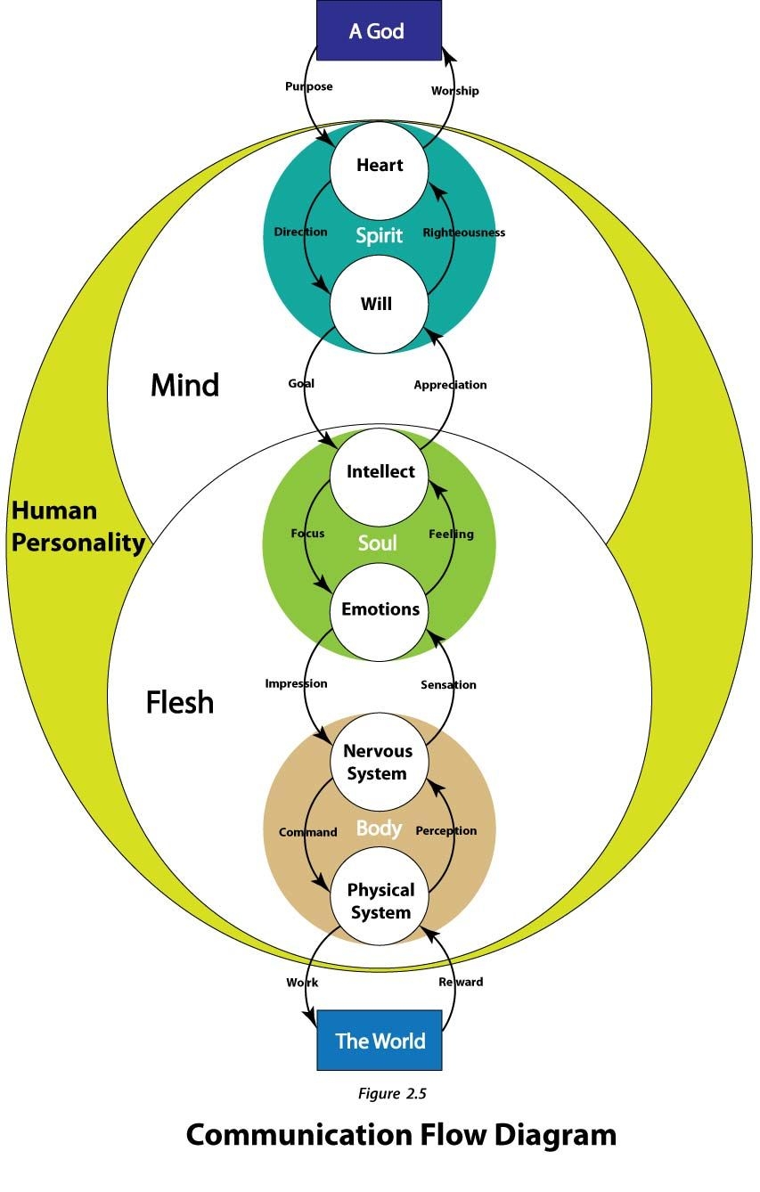 Is This An Accurate Chart Of The Human Person R Catholicism