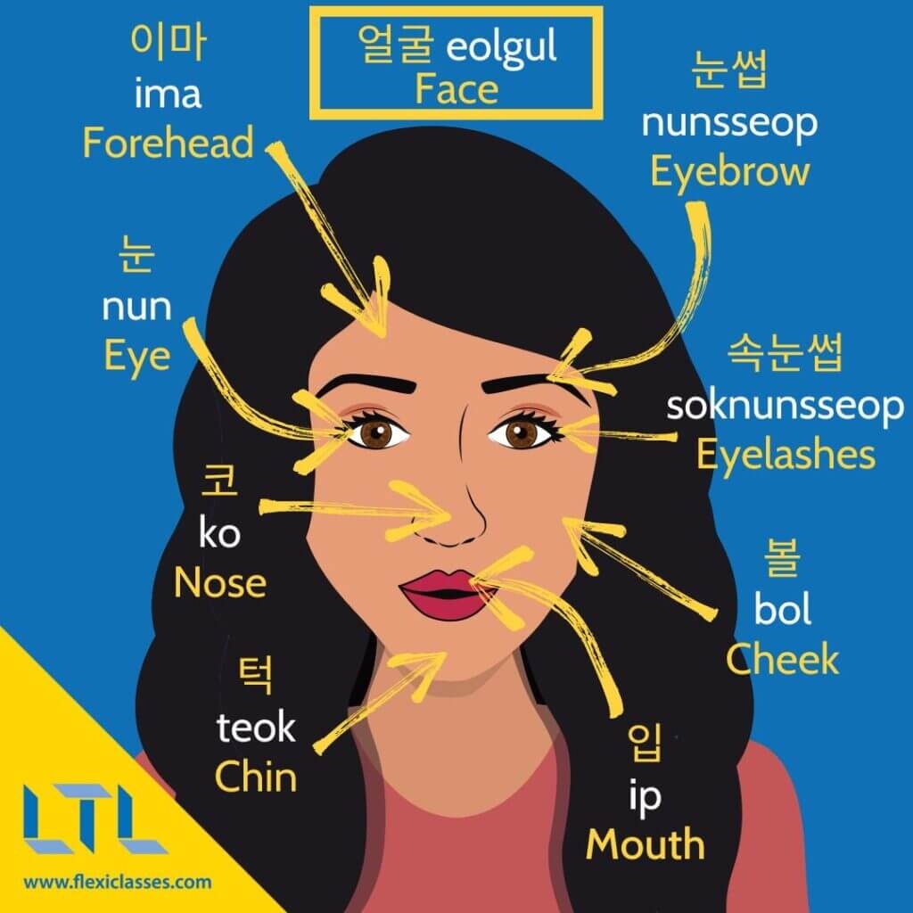 Korean Beauty Standards Face Eyes Body Complete Guide