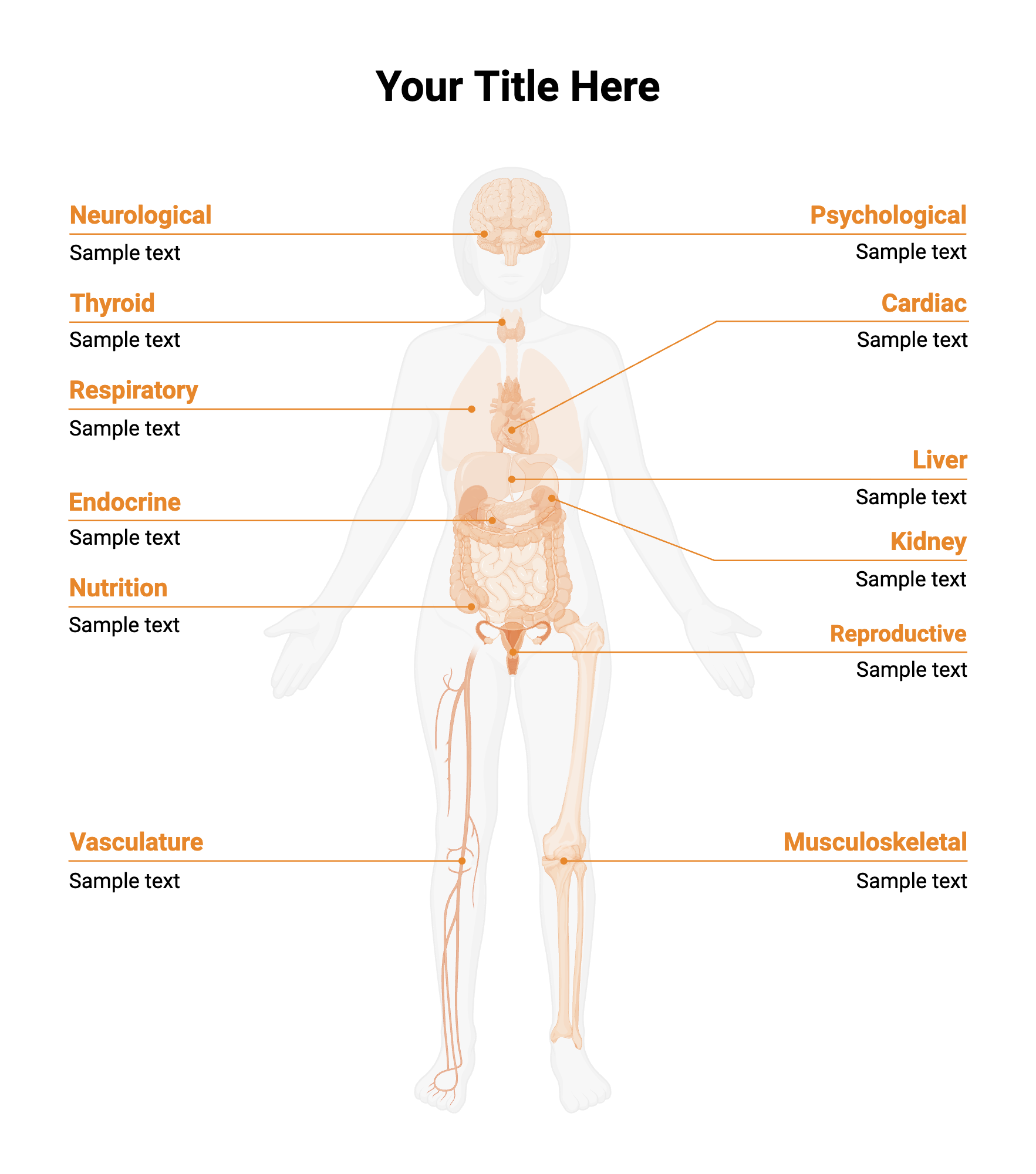 Labeled Female Body With Leader Lines Layout BioRender Science Templates